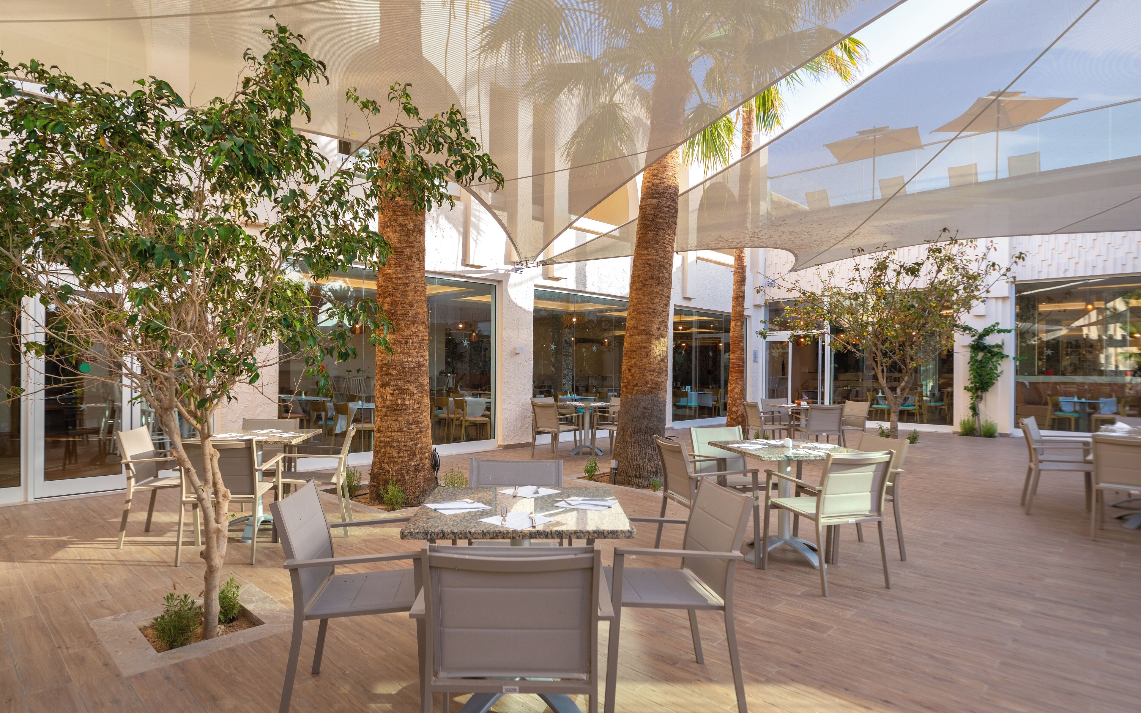 Un área de comedor al aire libre con mesas y sillas, rodeada de palmeras y paredes de vidrio.