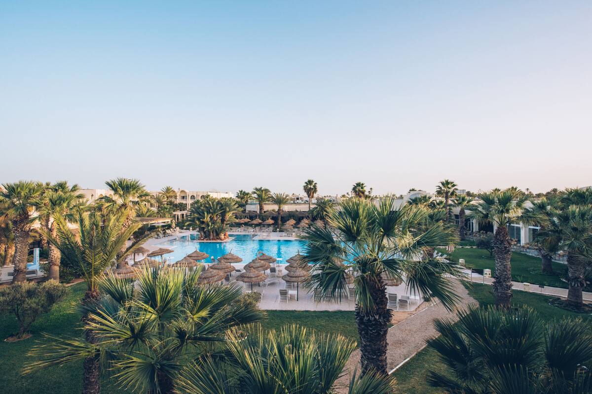 A pool area with palm trees, lounge chairs, and umbrellas.