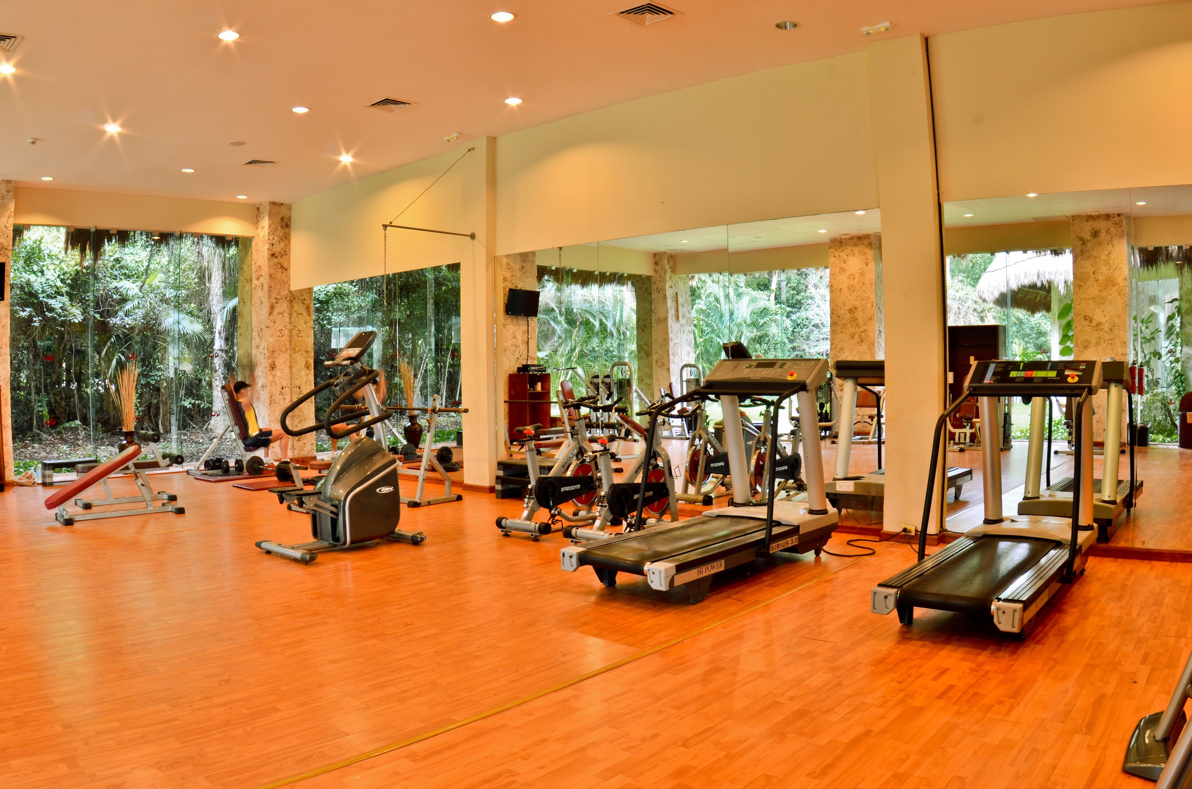 A gym with various exercise equipment, large windows with a view of greenery, and a wooden floor.