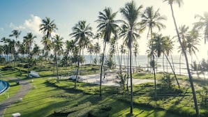 A tropical resort with palm trees, a beach, and a pool area.