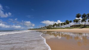 Een strand met heldere lucht, palmbomen en een zandrijk strand.