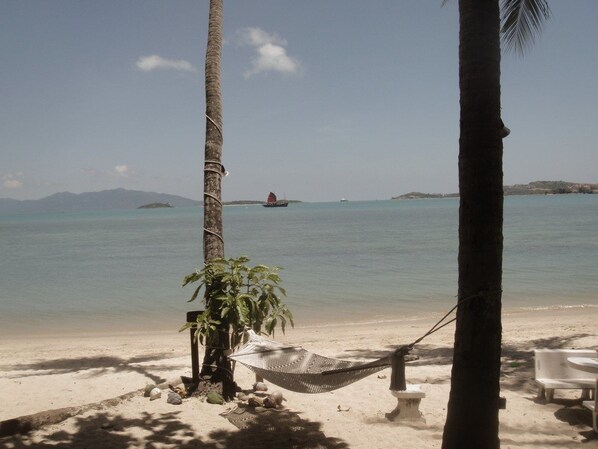 Una playa con una hamaca, una planta pequeña y una silla blanca.