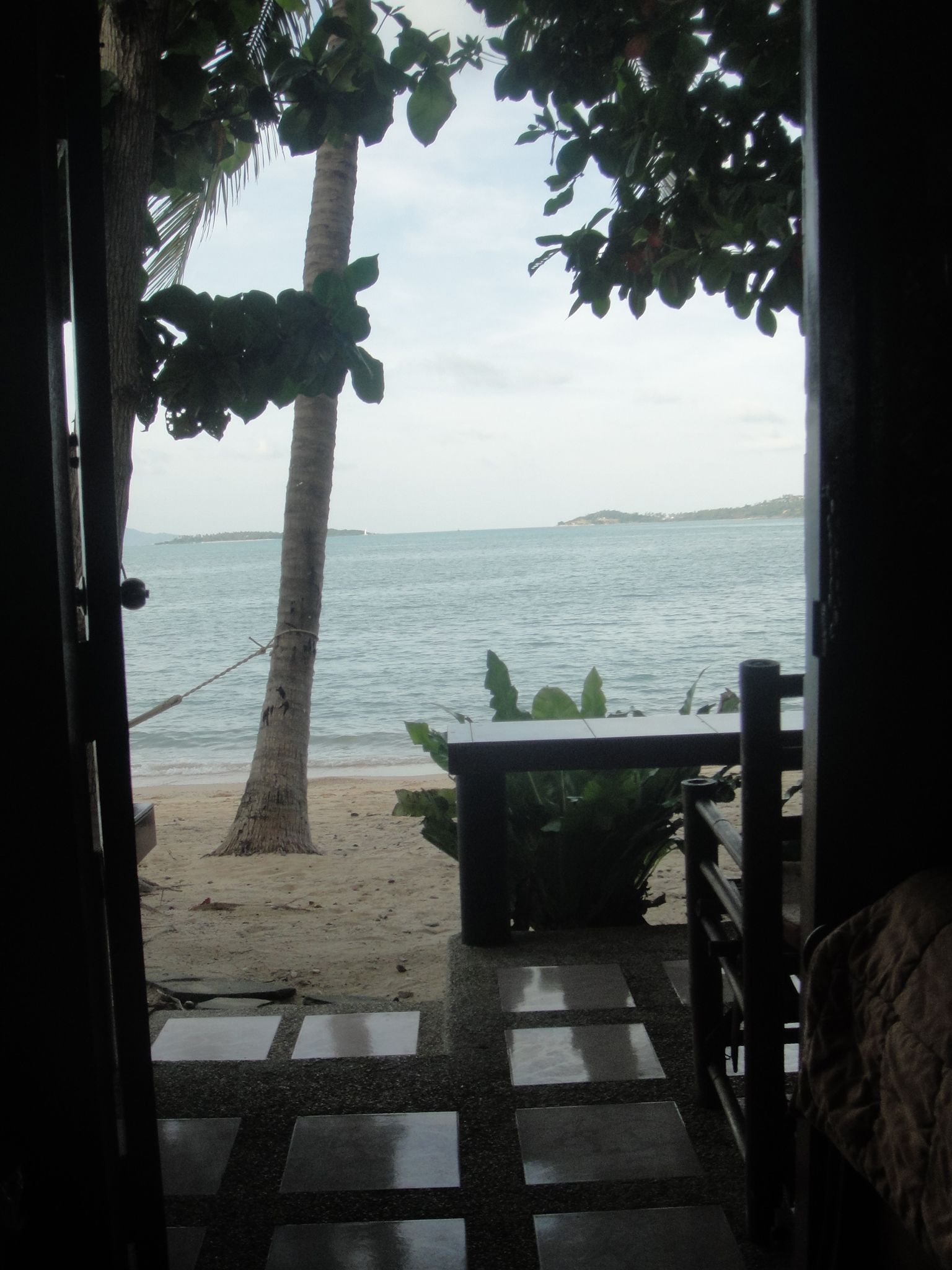 A view from inside a room to a beach with a palm tree and a bench.