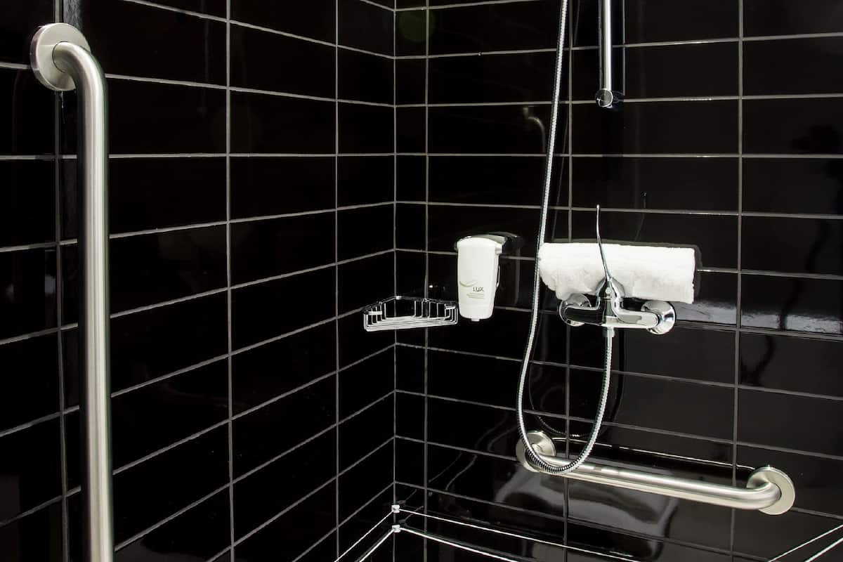 standard room, 1 double bed, accessible | bathroom | separate bathtub and shower, hair dryer, bidet, towels