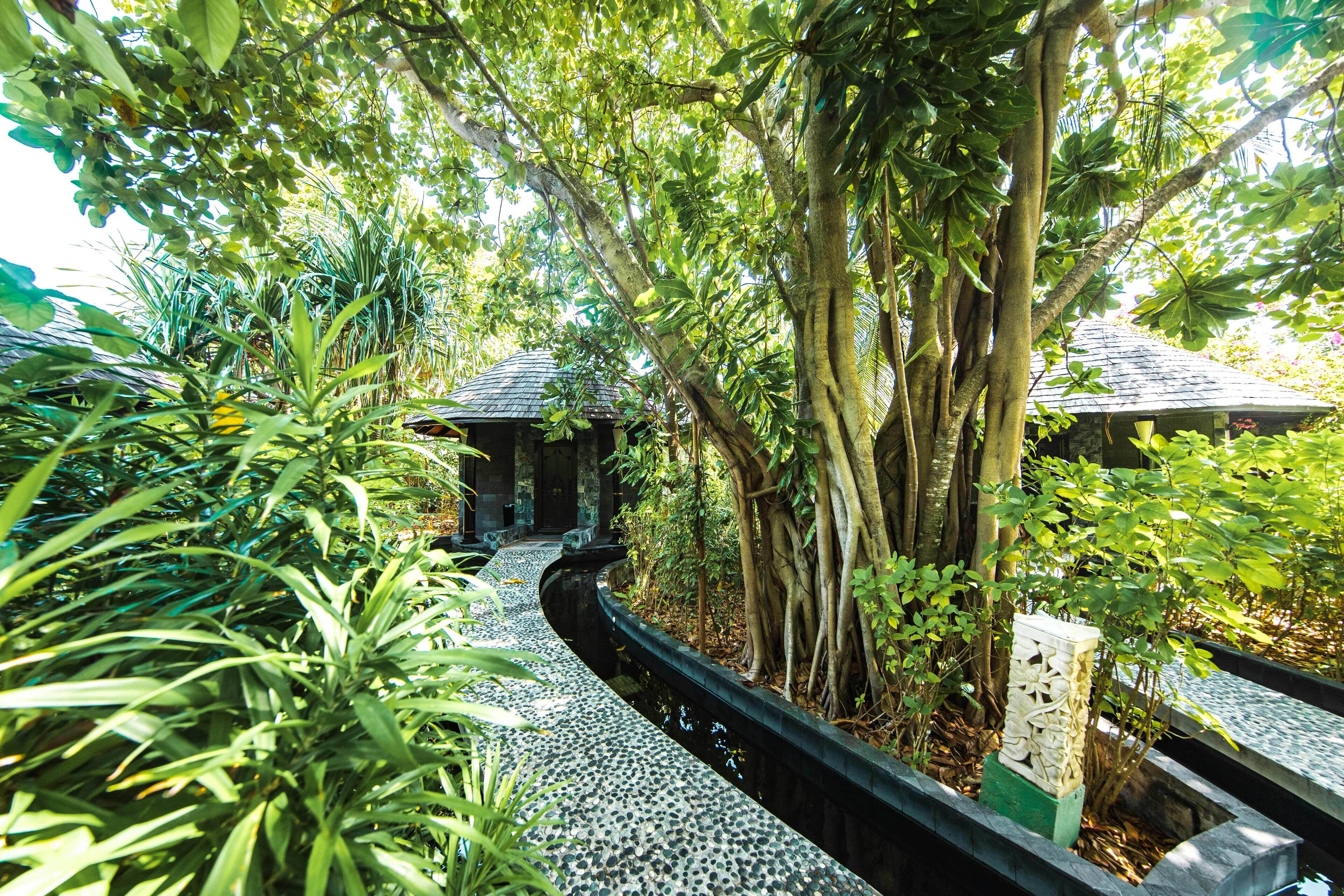 couples treatment room(s), body treatments, hot stone massages