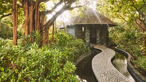 A traditional thatched-roof structure surrounded by lush greenery and a curved water feature. - Sun Siyam Iru Fushi (Iru Fushi)