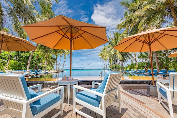 5 bares, bar junto a la piscina