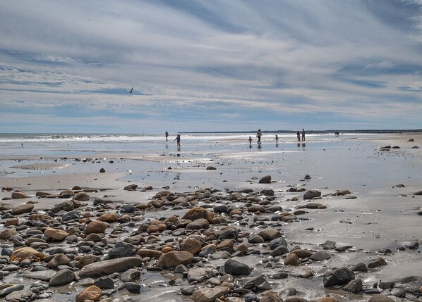 Ein felsiger Strand mit Menschen, die am Ufer entlanggehen.