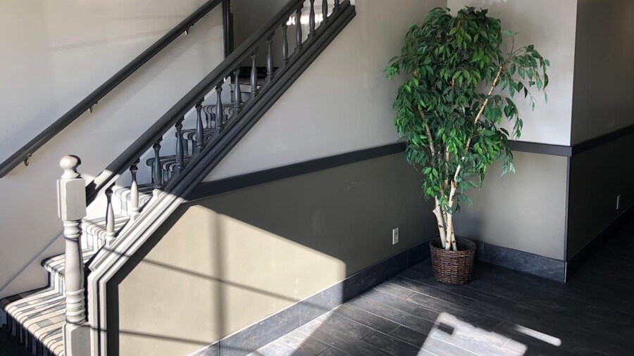 Ameri-Stay Inn & Suites