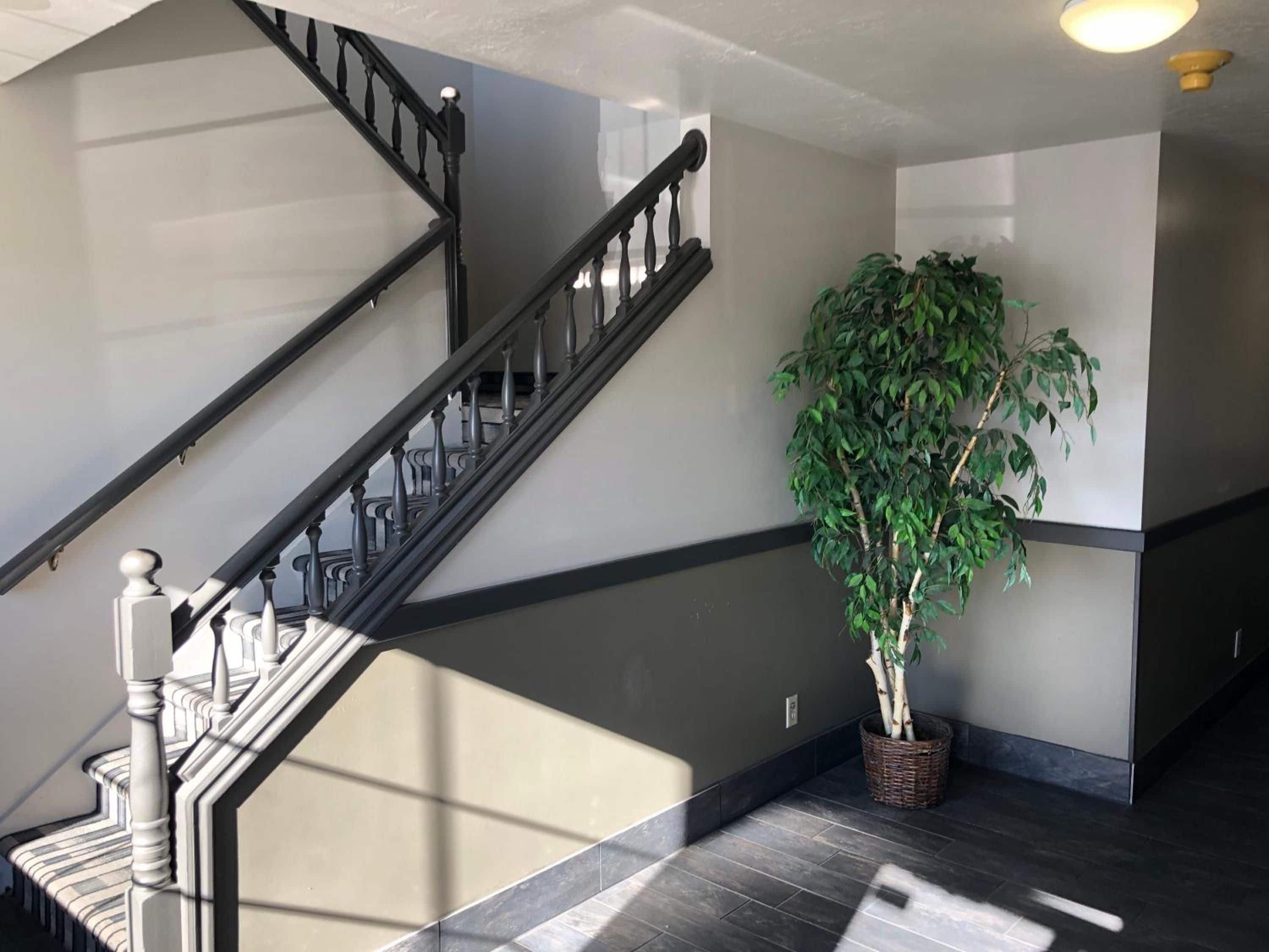 Una escalera con barandilla negra y balaustres blancos, que conduce a una plataforma con una planta en maceta.
