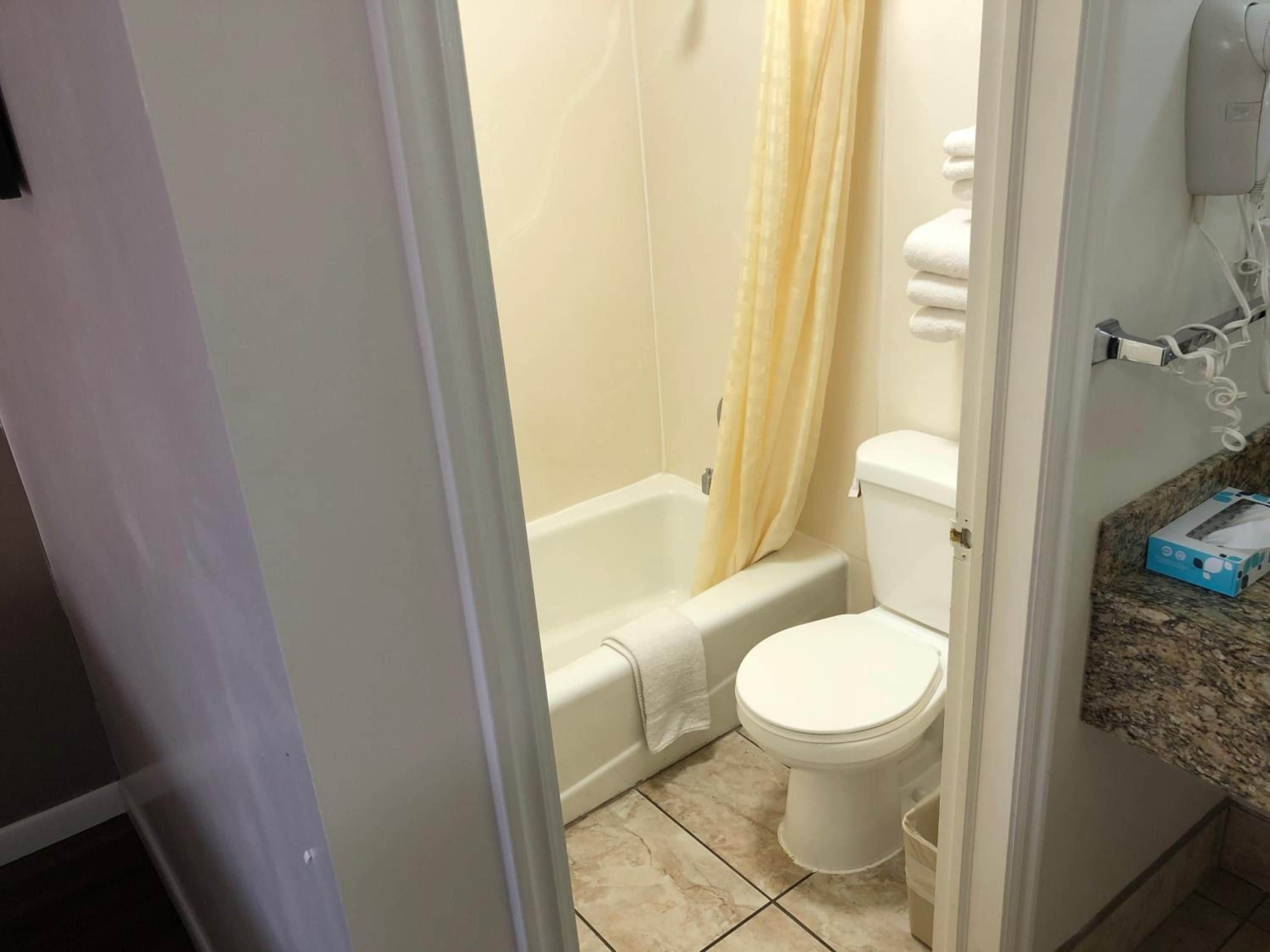 A bathroom with a toilet, a bathtub, and a shower curtain.