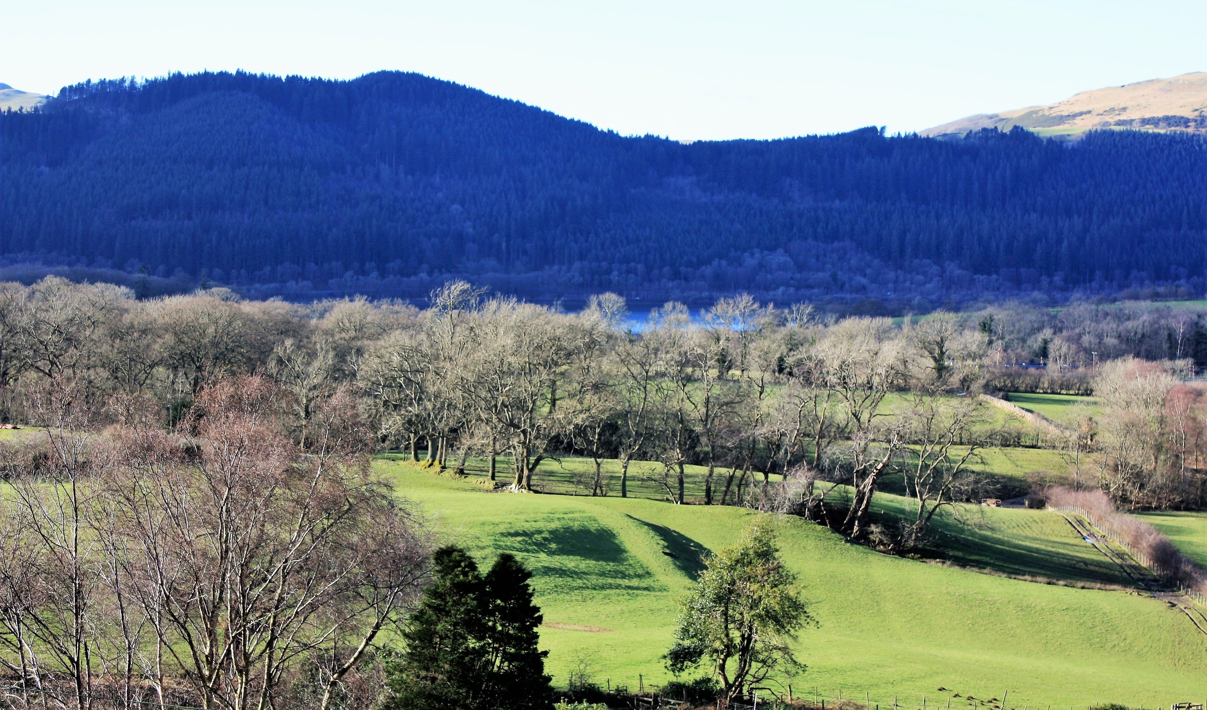 Paisatge rural amb camps verds ondulats, arbres dispersos i una serralada de muntanyes al fons.