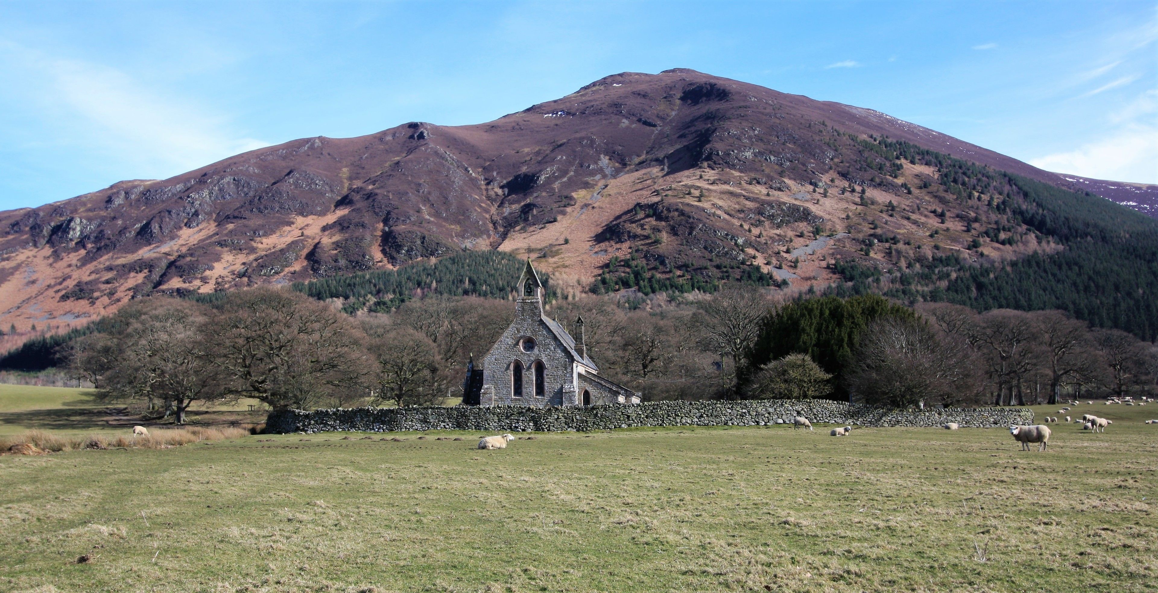 premium double room, 1 king bed, mountain view | mountain view