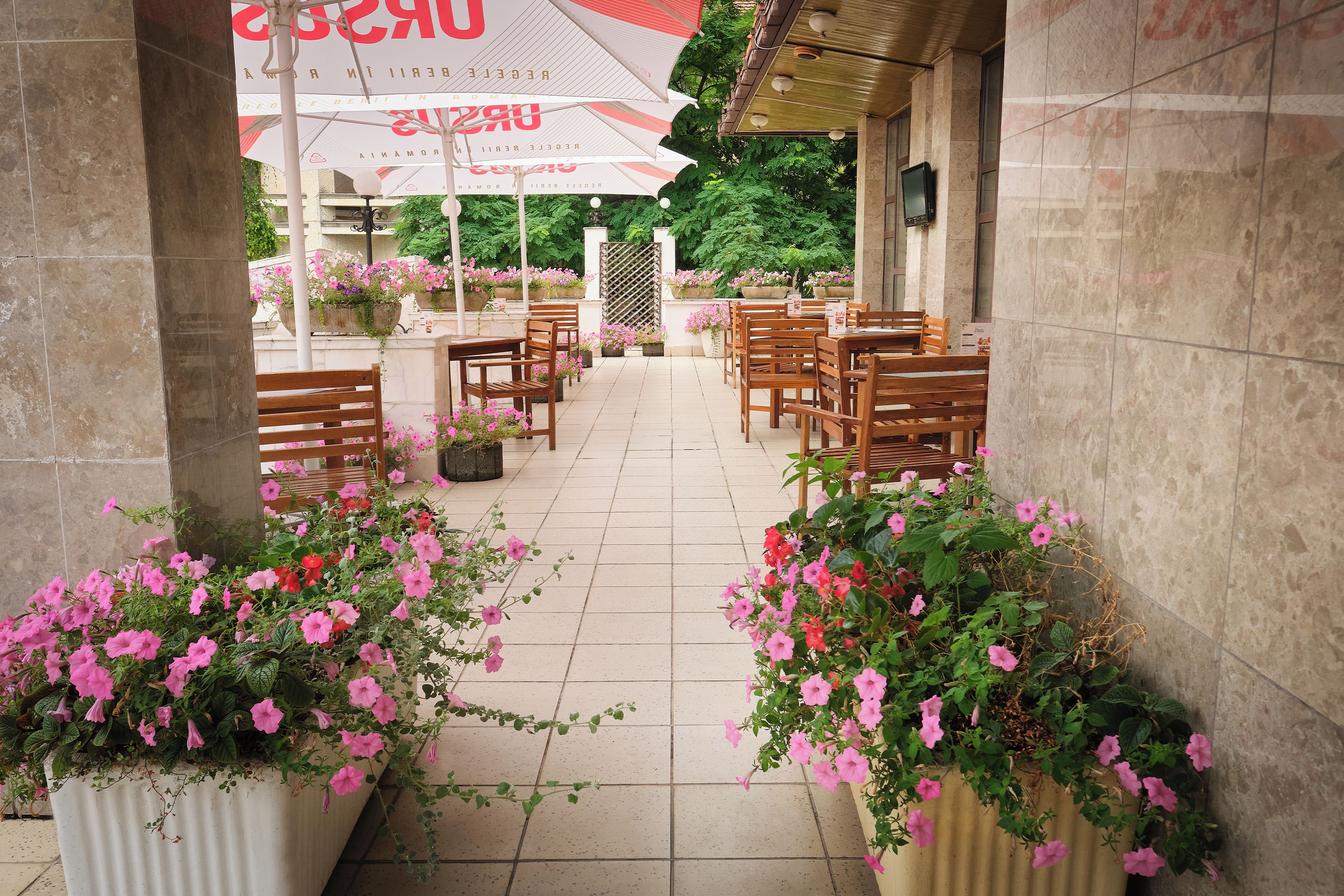 Terrasse/patio