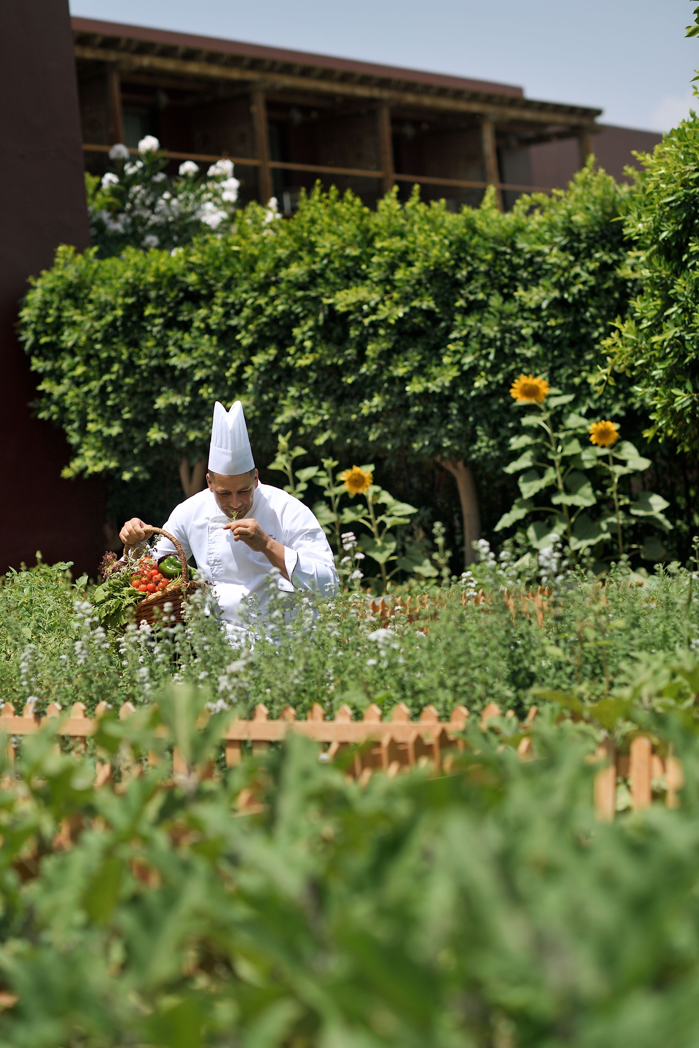 Foto - Mövenpick Resort & Spa Tala Bay Aqaba