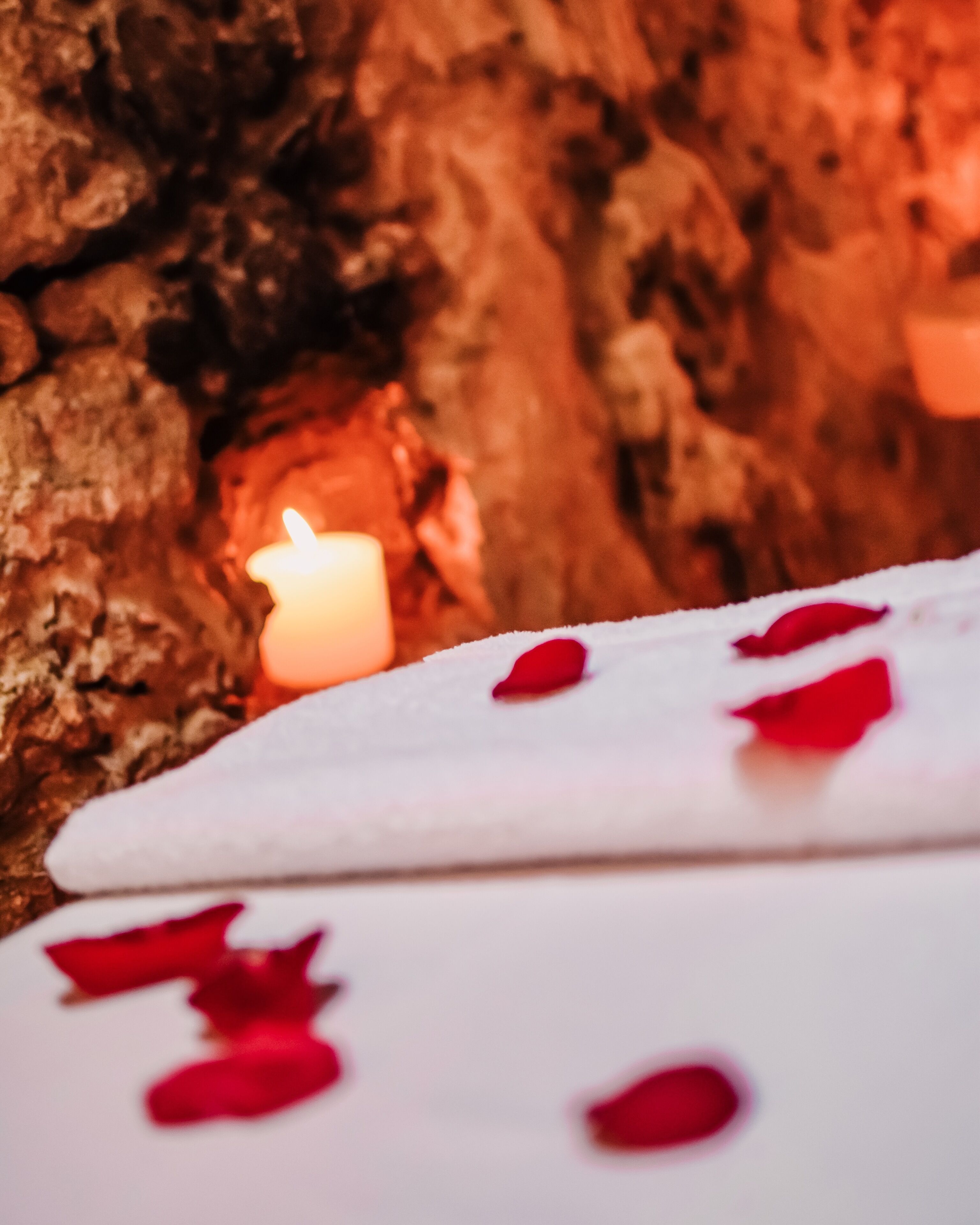 Foto - Hotel Boutique Casa Del Arzobispado