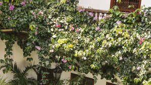A courtyard with a wooden bench, potted plants, and a wall with windows. - Casa del Arzobispado Hotel (Cartagena)