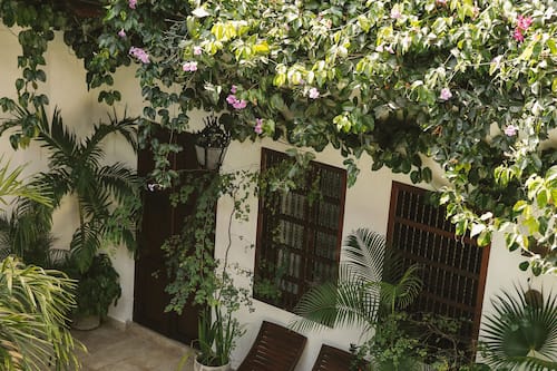 Cortile