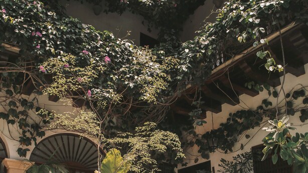 A pool area with a clear view of the water, surrounded by lush greenery and a building with arches and a tiled roof. - Casa del Arzobispado Hotel (Cartagena)