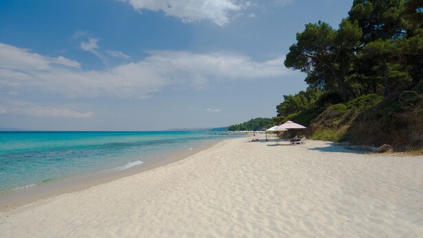 A beach with white sand, a clear blue sea, and a few umbrellas. - Palladium Hotel (Kassandra)