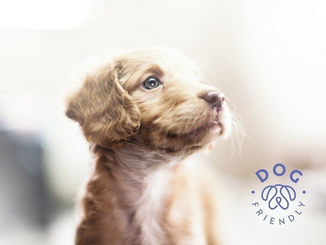 Photo - Gamma Ciudad Juarez