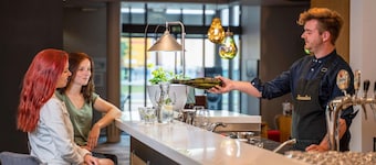 ibis Plzen