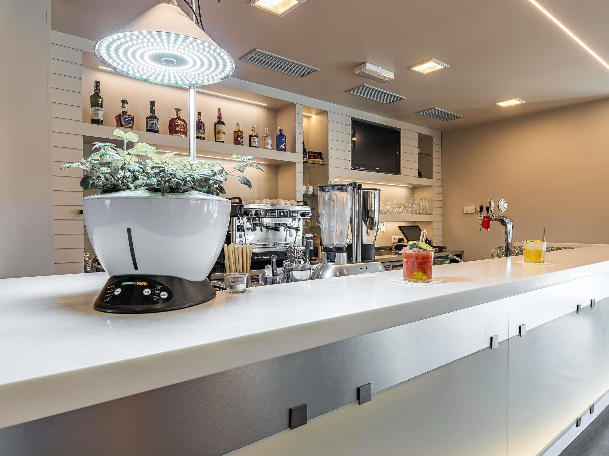 Un área de bar moderna con una cafetera, una licuadora y una planta en maceta.