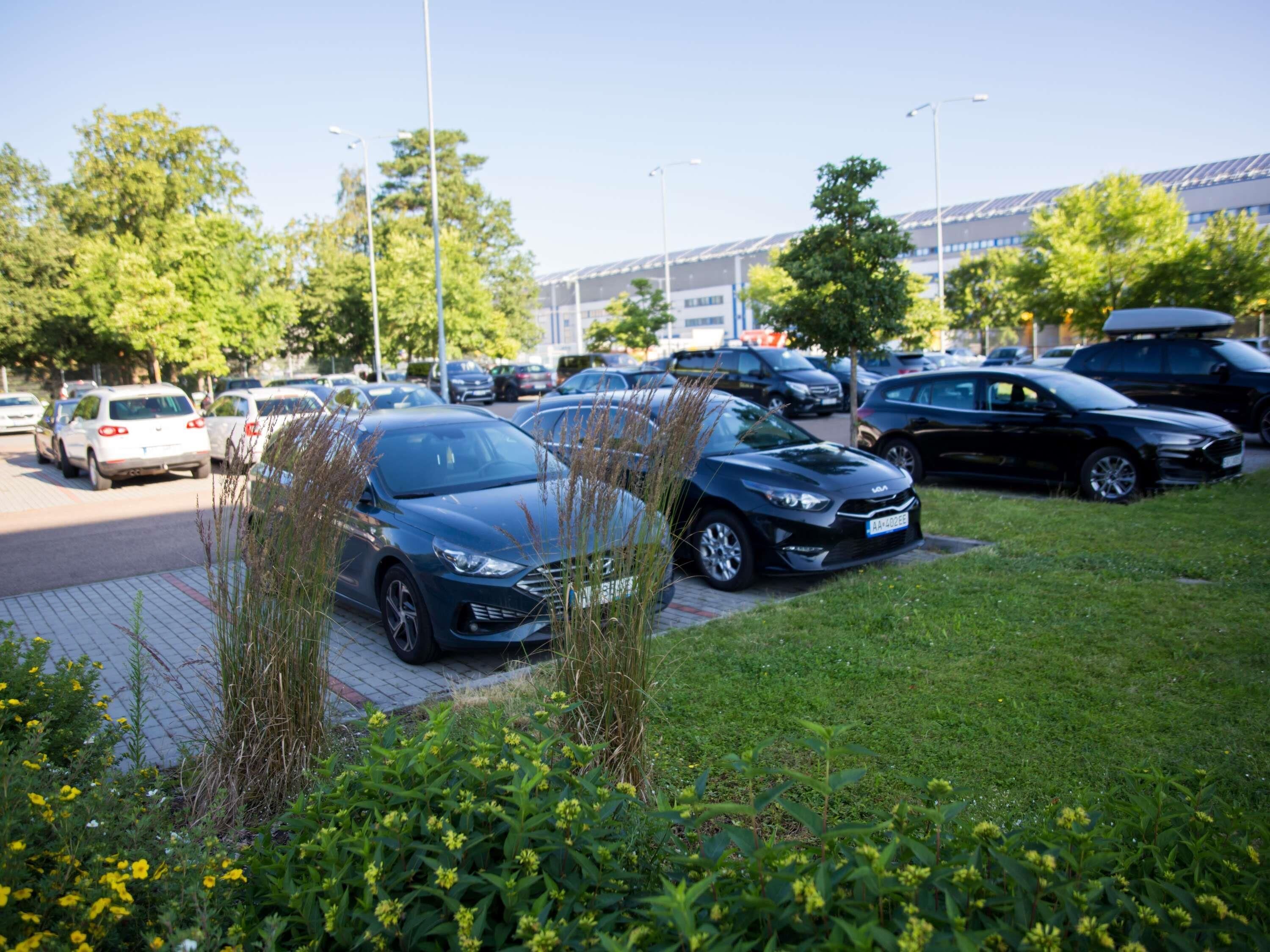 A parking lot with multiple cars, a grassy area with plants, and a building in the background.