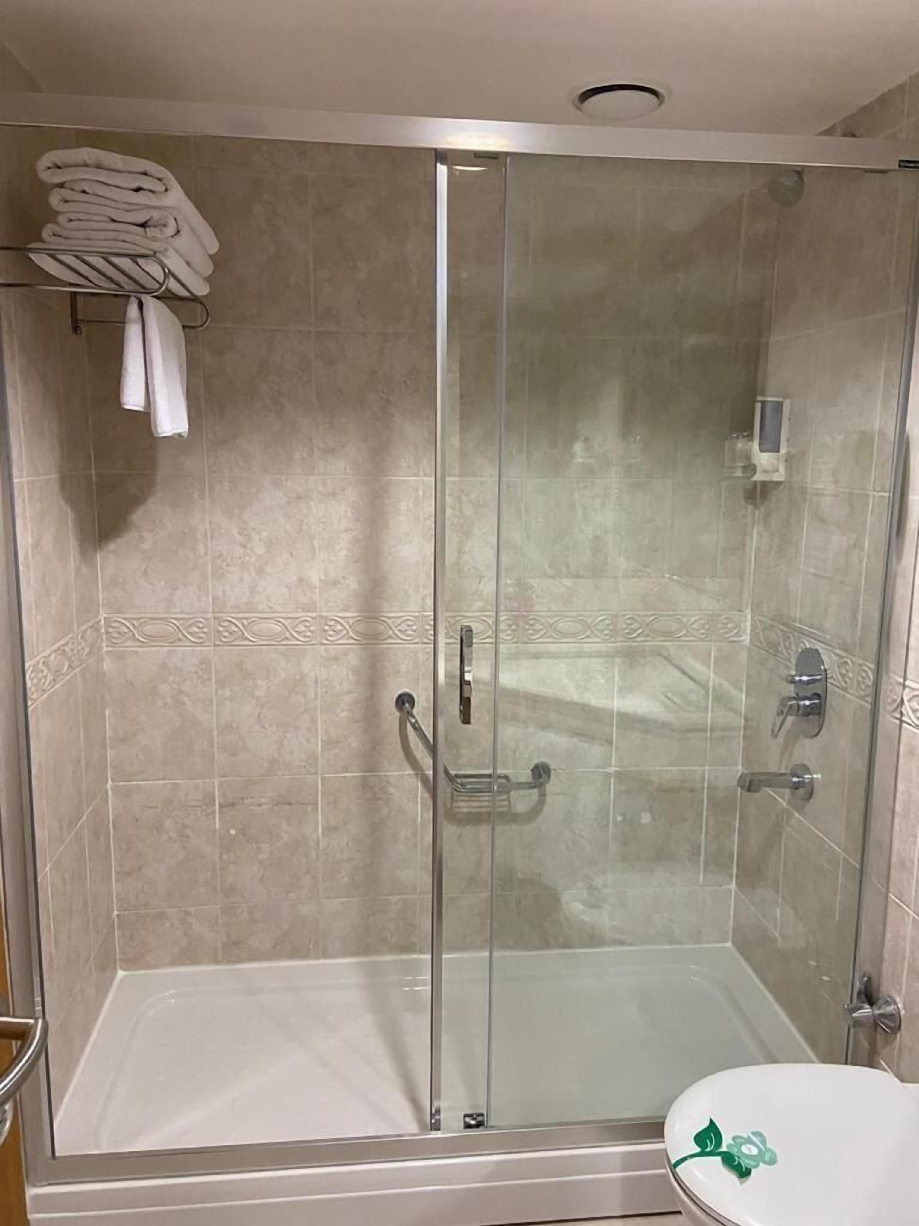 A glass-enclosed shower with a white toilet beside it.