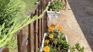 A garden area with a wooden fence, potted plants, and a pool in the background. - Sirena Hotel (Sunny Beach)