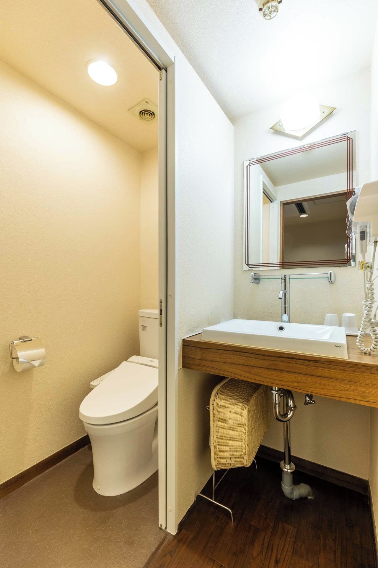 A bathroom with a toilet, sink, mirror, and a ceiling light.