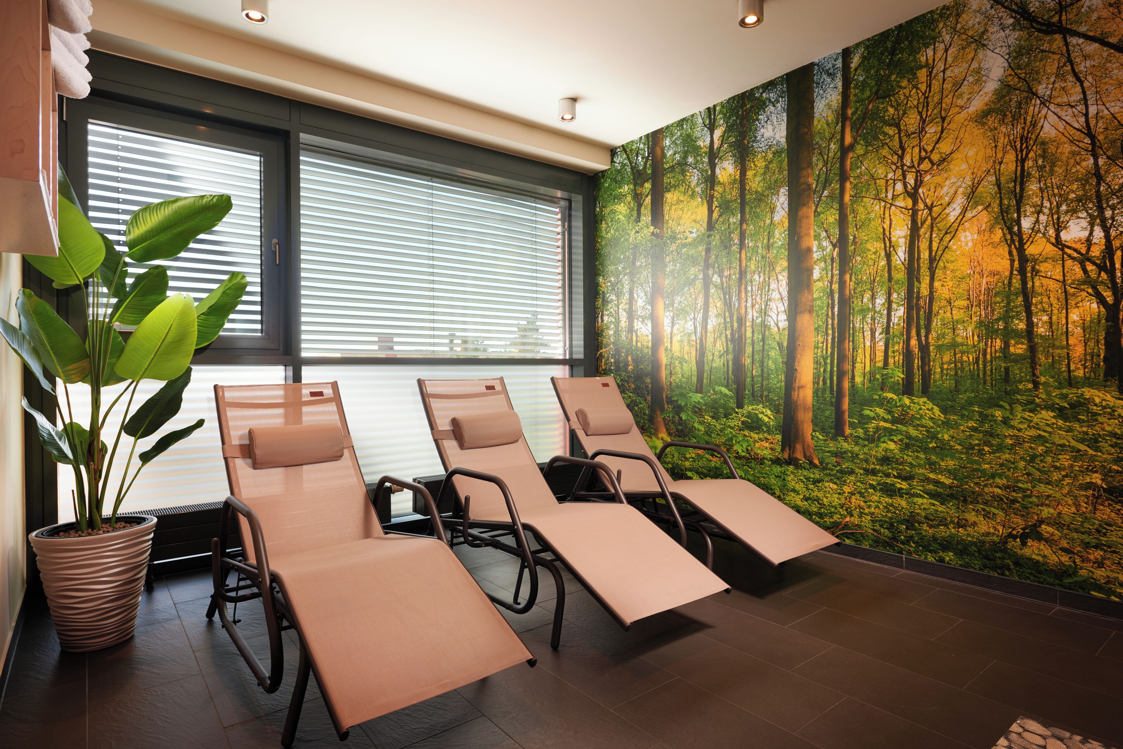 Foto - NOVINA HOTEL Tillypark
