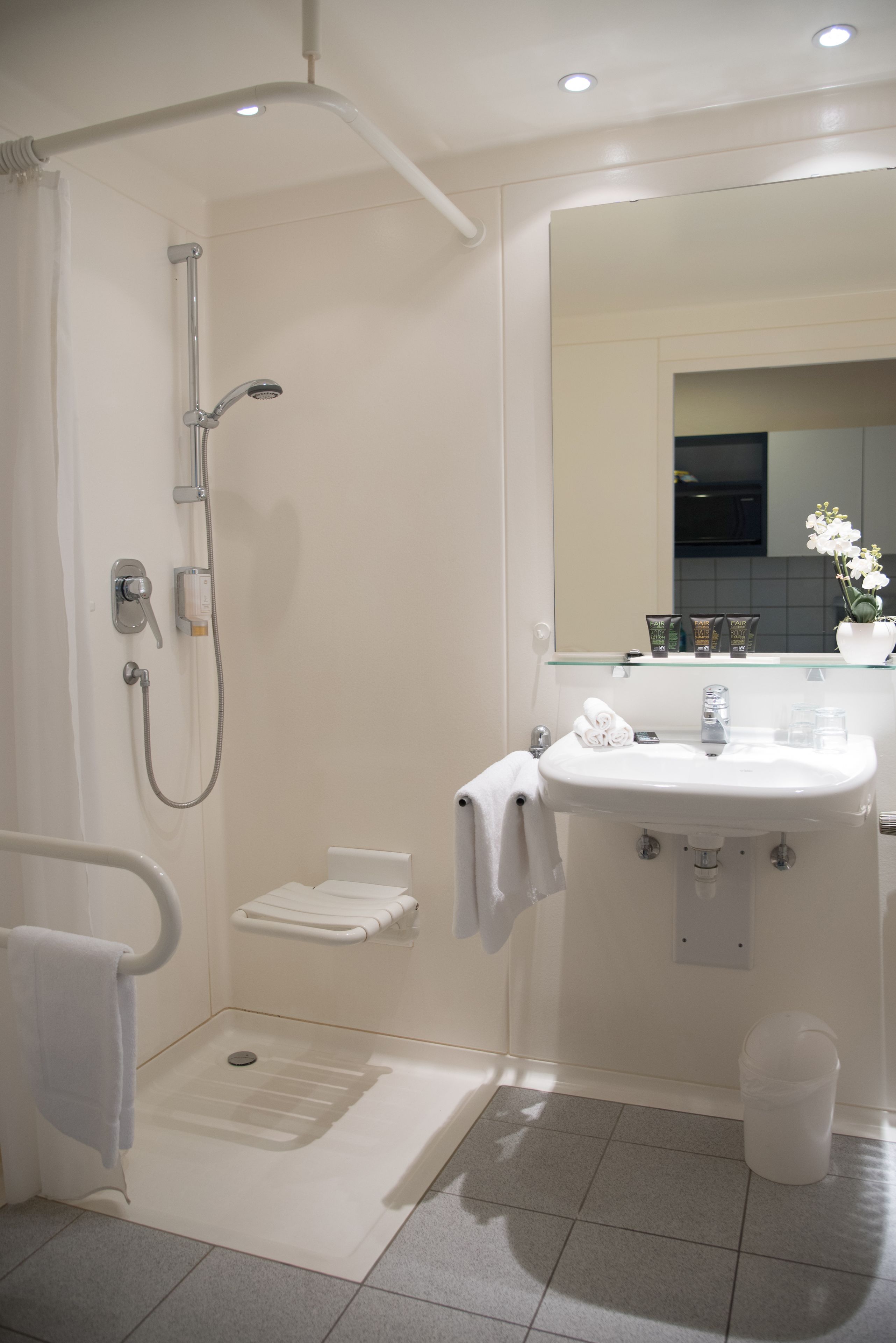 standard apartment | bathroom shower