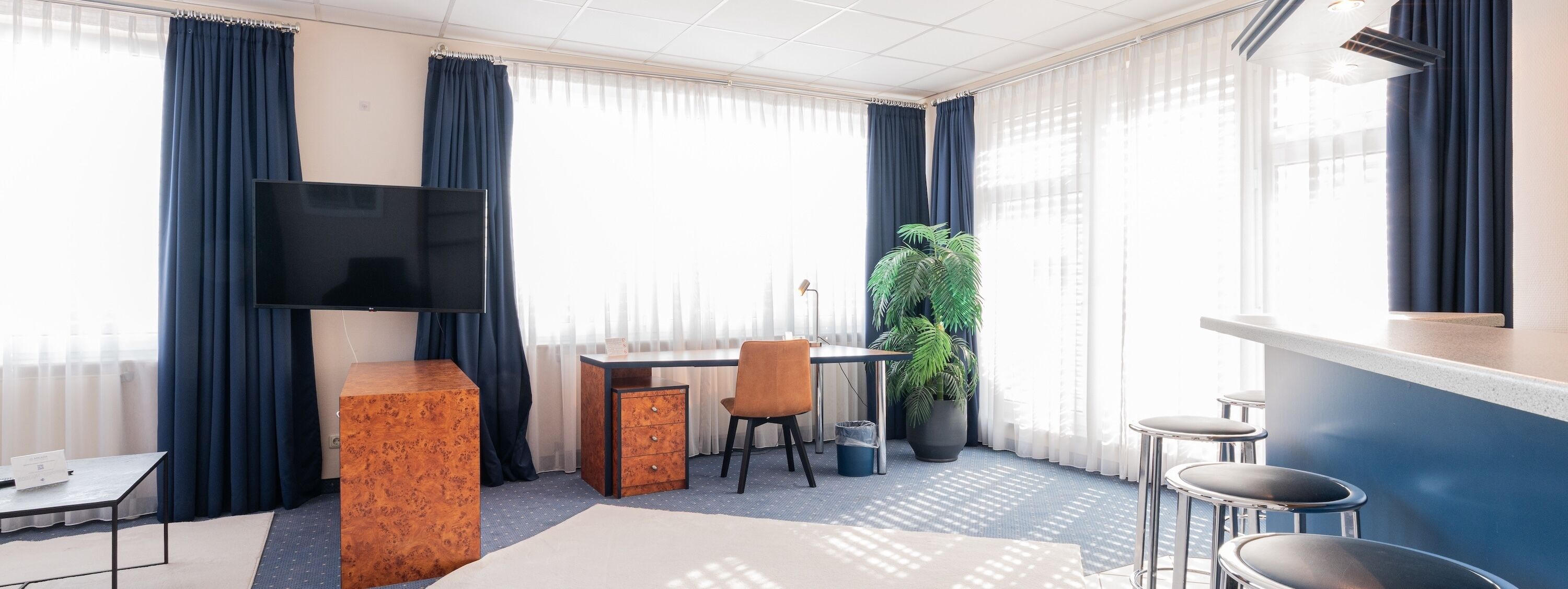 A hotel room with a TV, a desk, a chair, a potted plant, and a bar area.