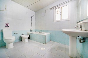 Separate bathtub and shower, hair dryer
