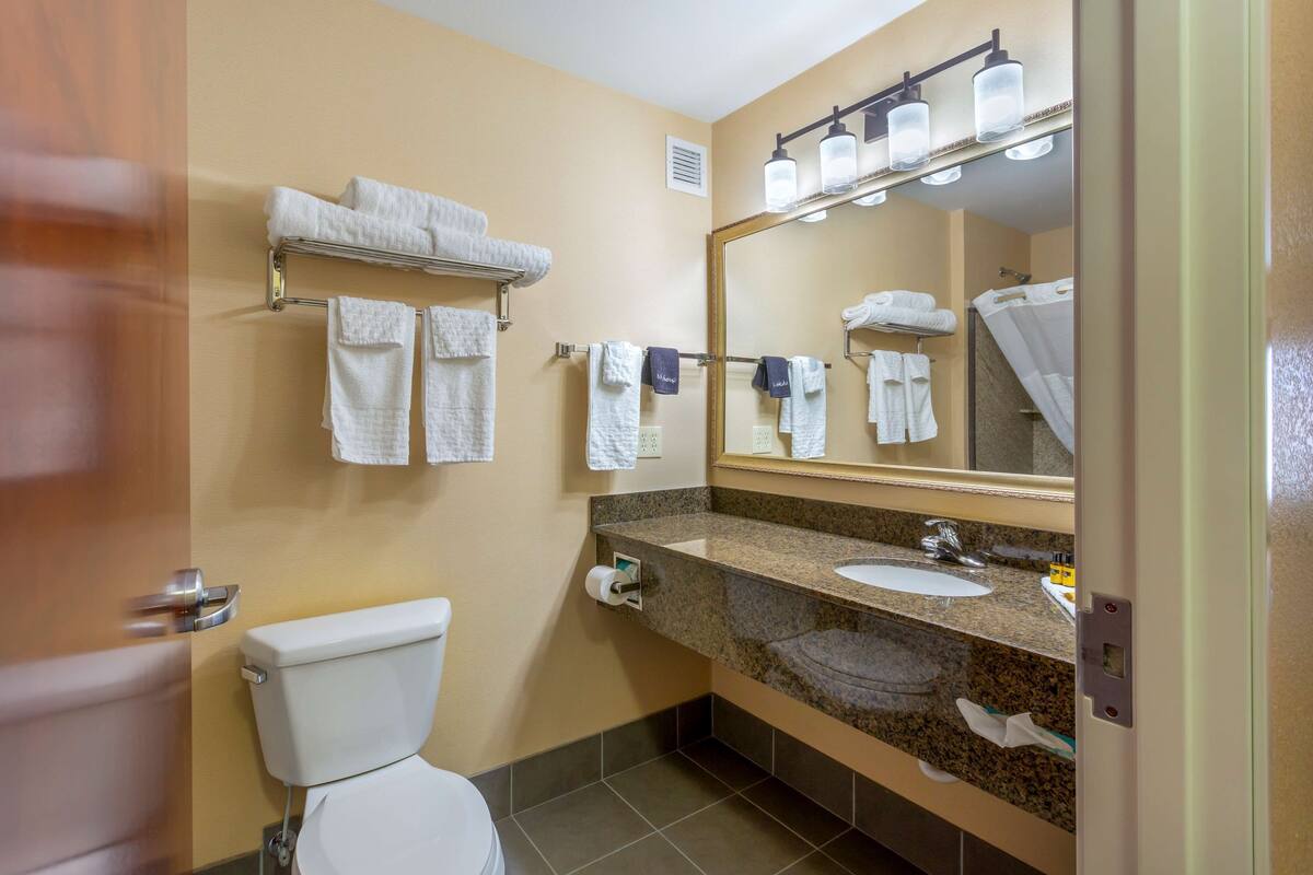 combined shower/bathtub, free toiletries, hair dryer, towels