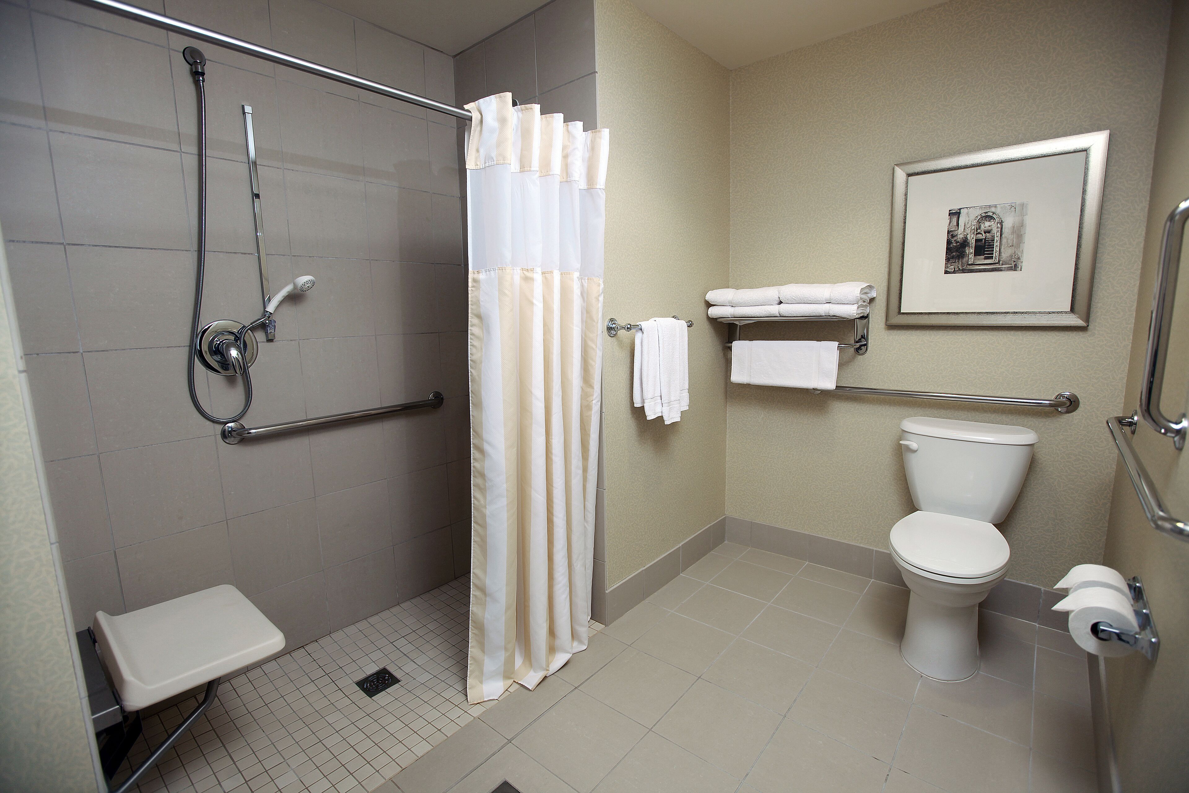 suite, 1 king bed, accessible | bathroom | free toiletries, hair dryer, towels