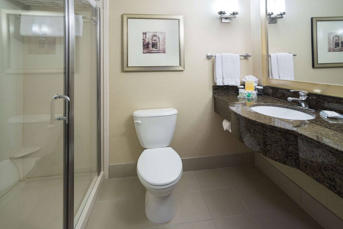 A bathroom with a glass shower enclosure, a white toilet, a granite countertop sink, and a mirror above the sink.