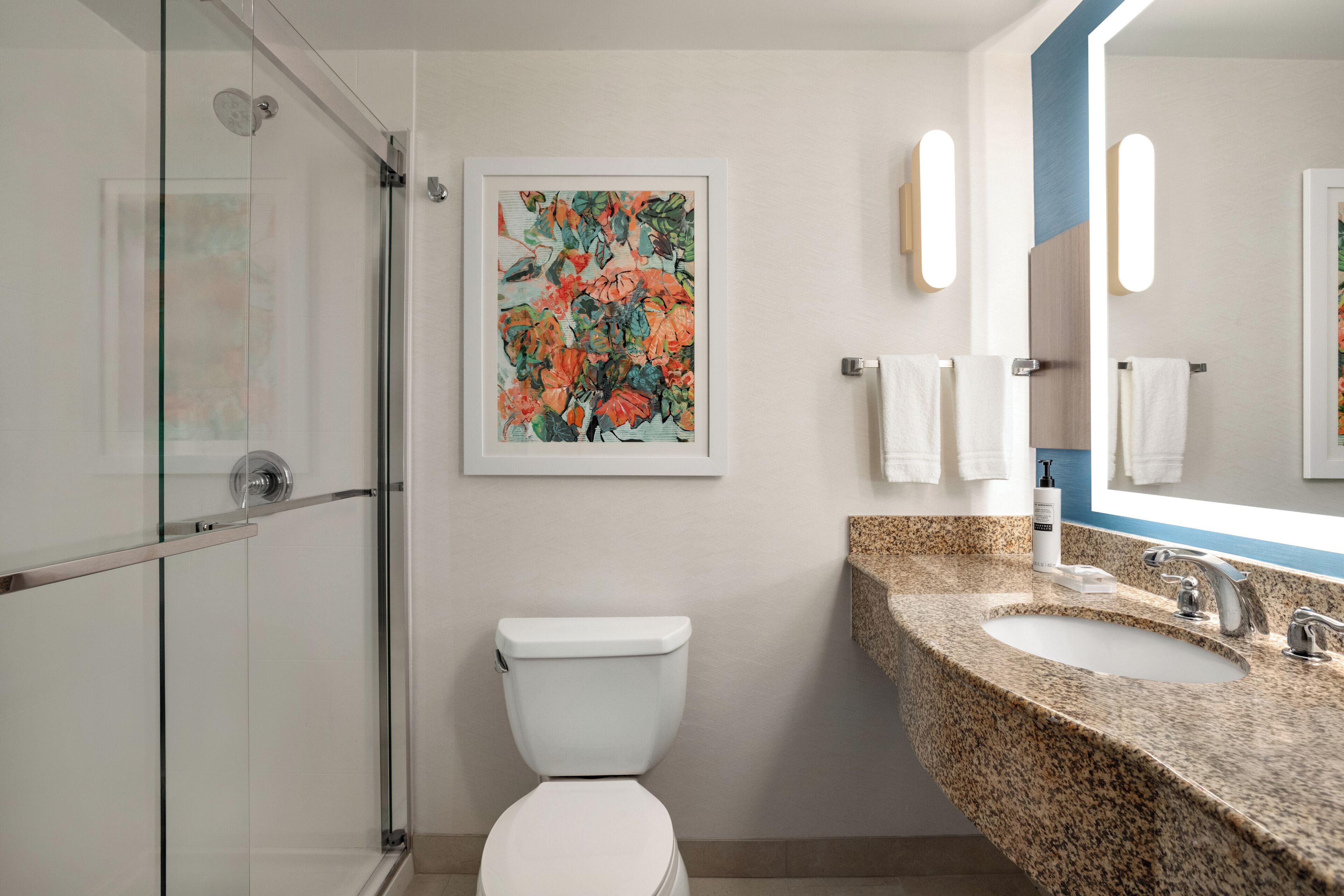 A modern bathroom with a glass shower enclosure, a toilet, a granite sink, and a framed floral artwork on the wall.