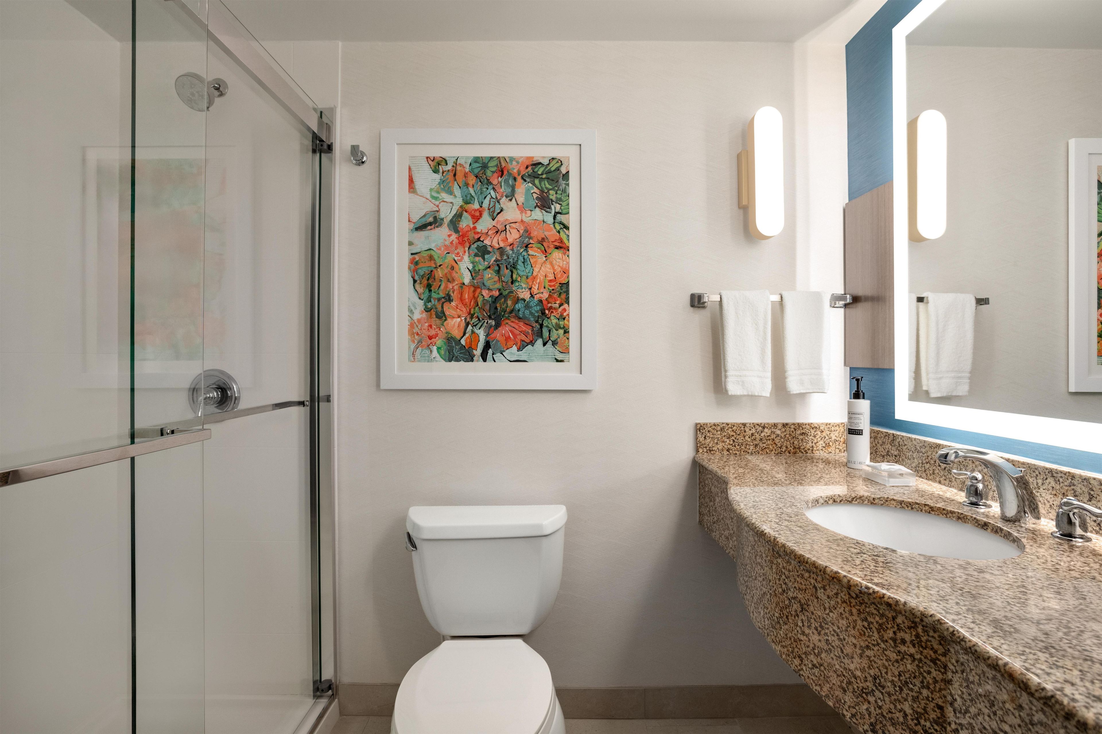 A modern bathroom with a glass shower enclosure, a toilet, a granite sink, and a framed floral artwork on the wall.
