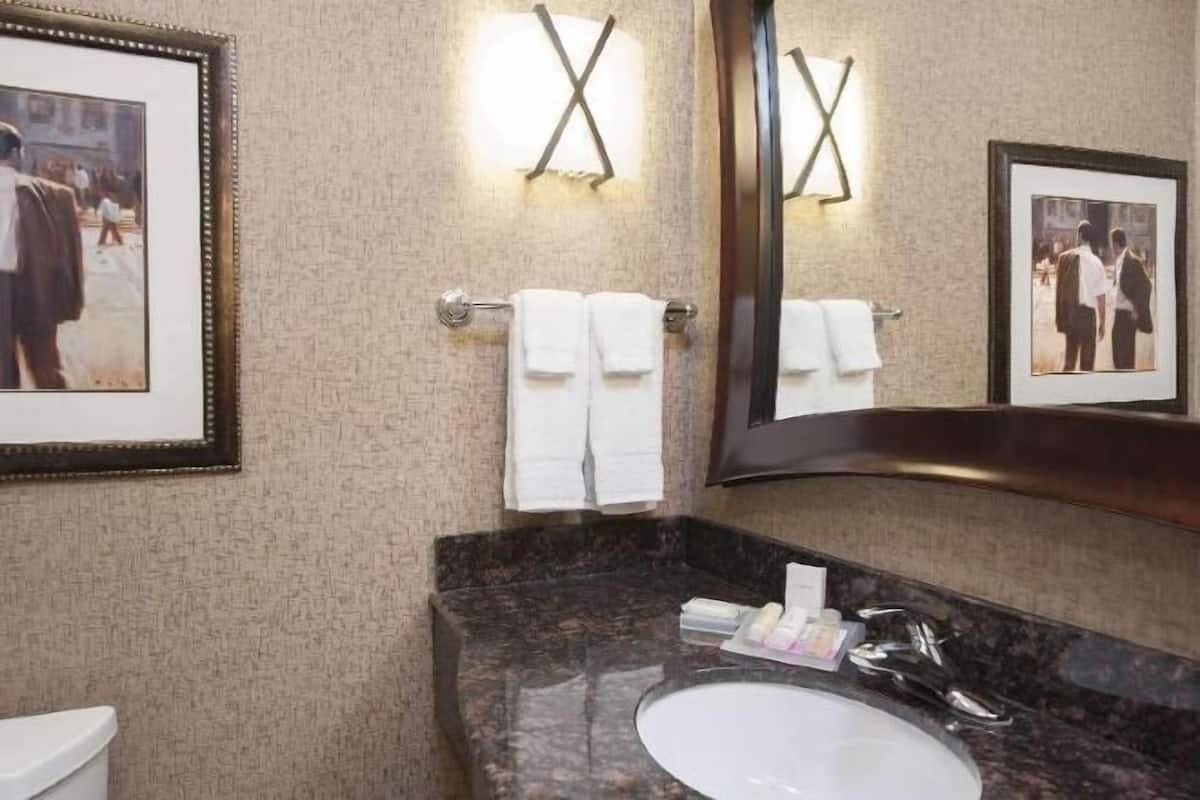 Baño | Amenidades de baño gratuitas, secadora de cabello, toallas