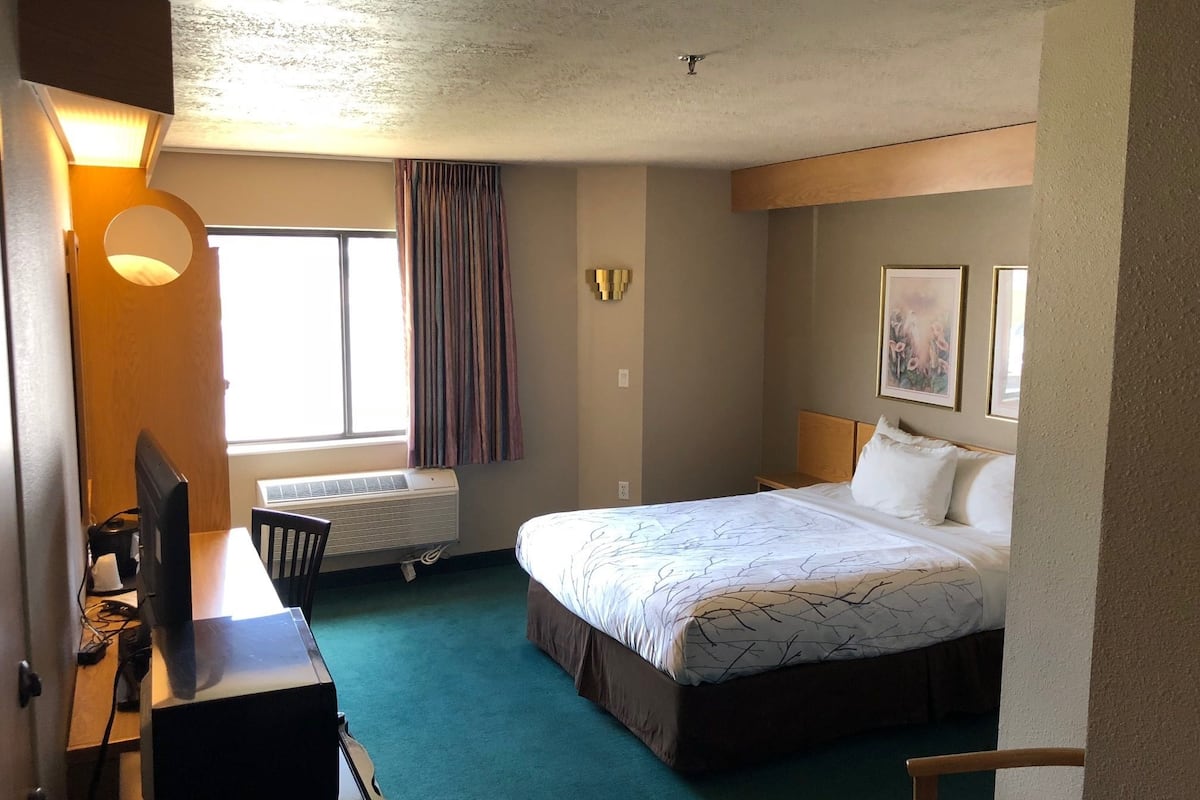 standard room, 1 queen bed, accessible | desk, free wifi