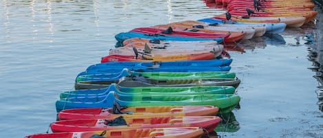 Una hilera de kayaks de colores alineados a lo largo de una orilla, con casas y barcos al fondo.