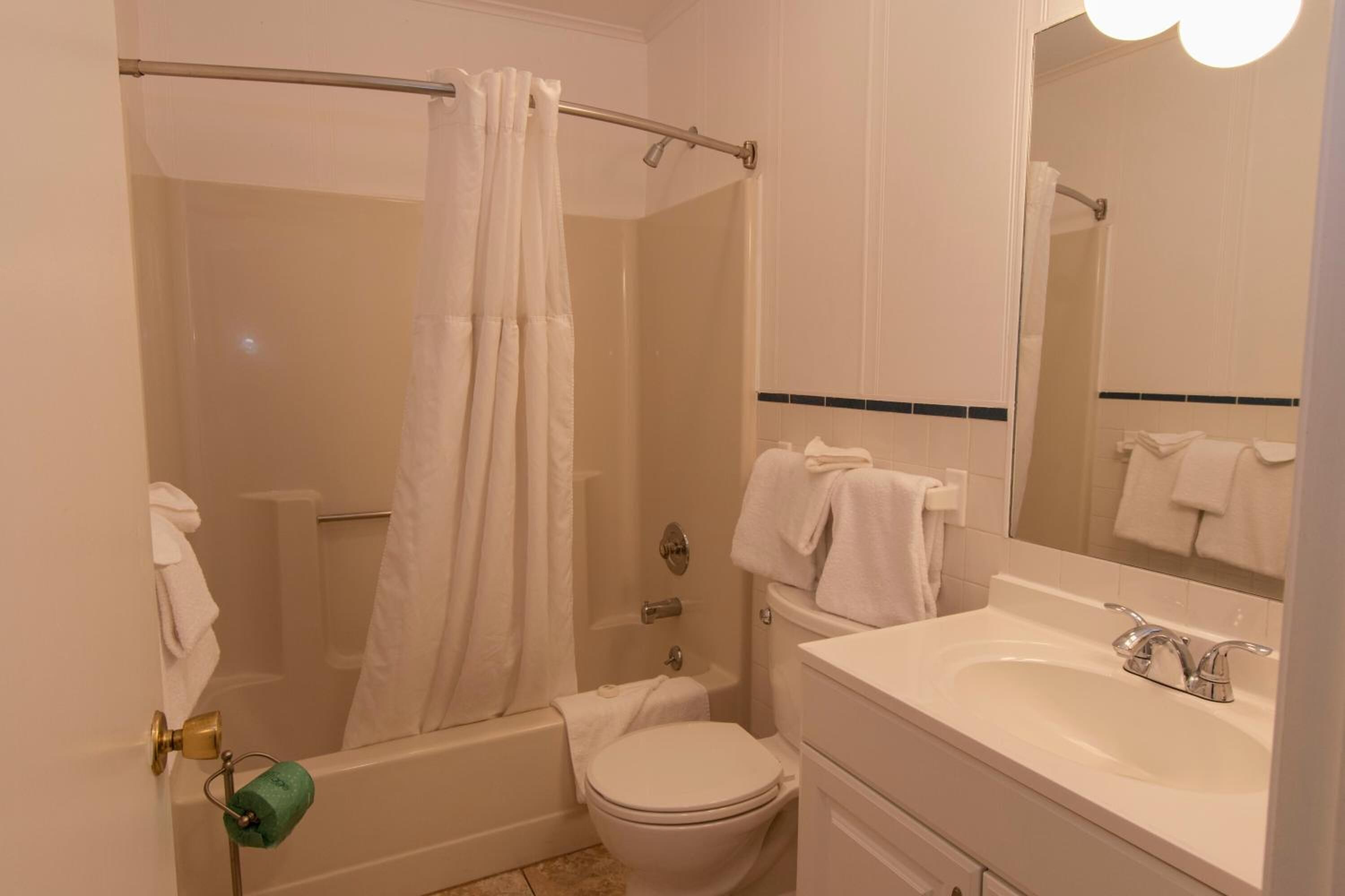 combined shower/bathtub, free toiletries, hair dryer, towels