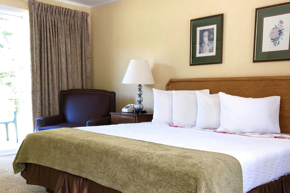 Cozy King | Blackout drapes, iron/ironing board, free WiFi, bed sheets