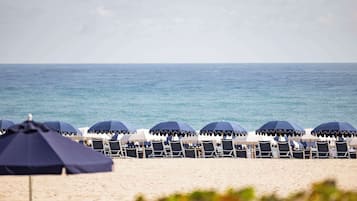Playa privada en los alrededores y traslado desde/hacia la playa gratis