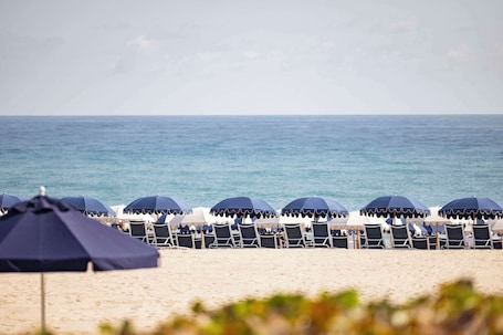Playa privada en los alrededores, traslado desde/hacia la playa gratis
