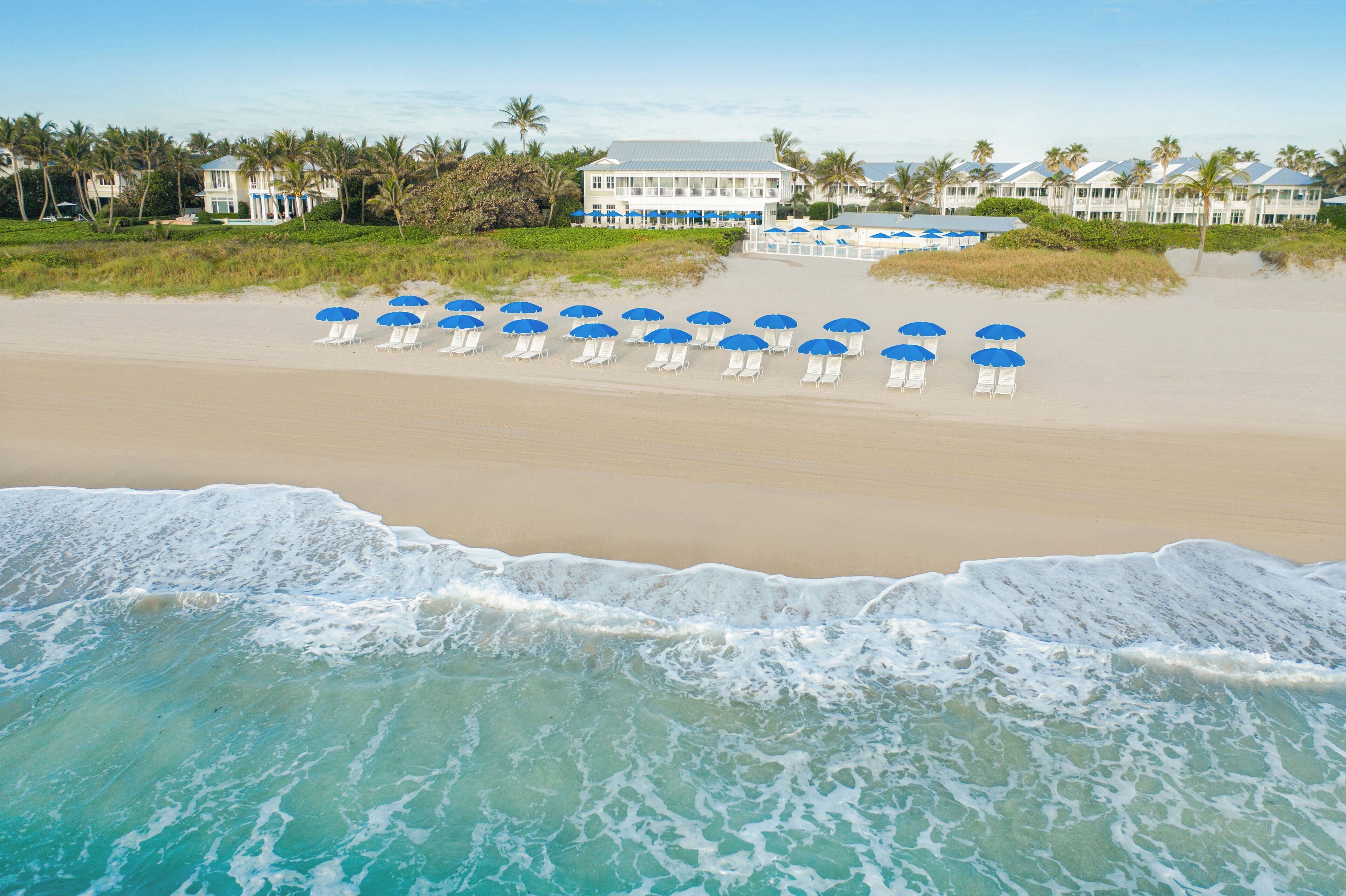 A beachfront hotel with rows of beach chairs and umbrellas, a sandy beach, and ocean waves.