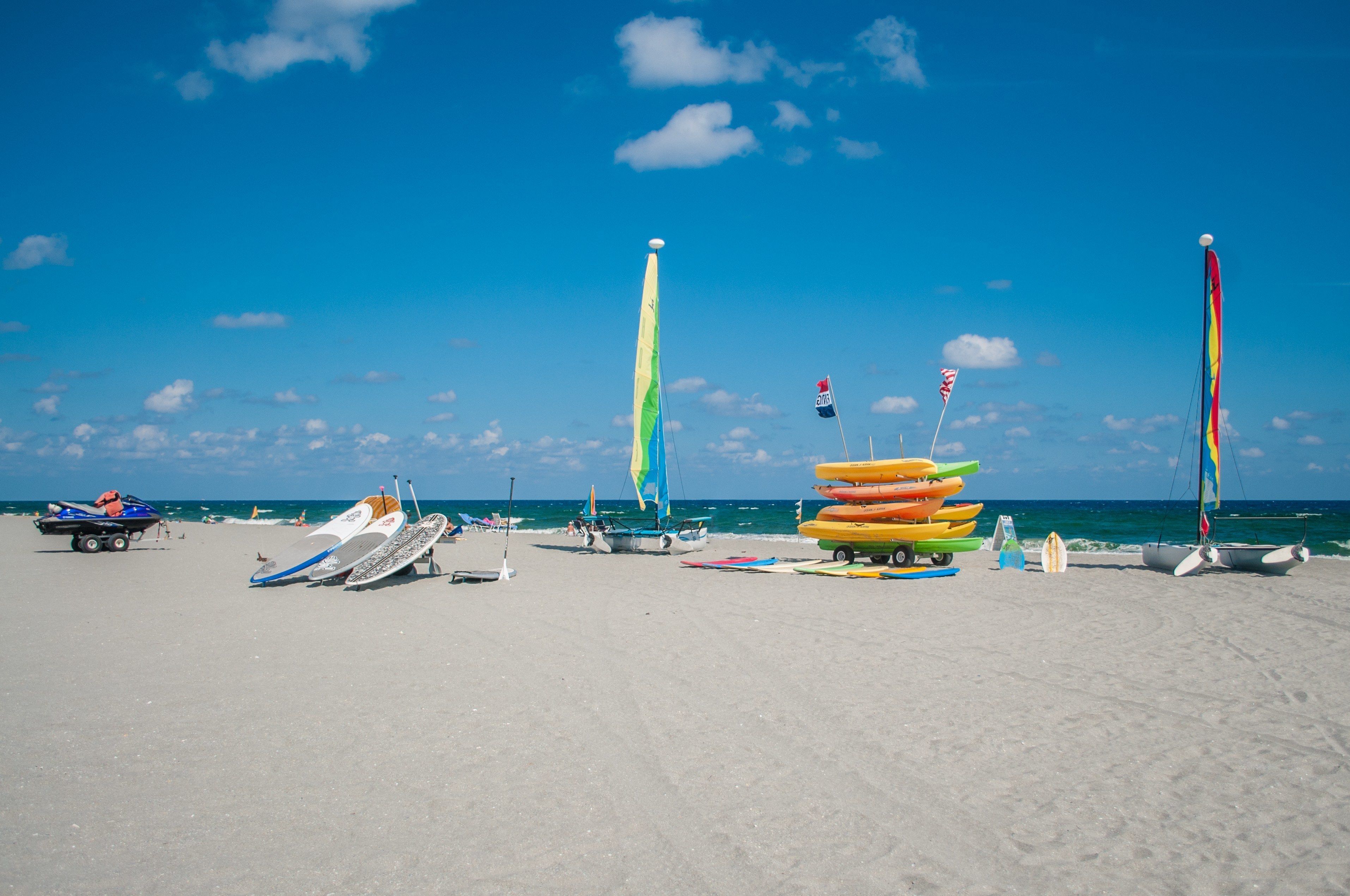 Playa privada en los alrededores, traslado desde/hacia la playa gratis