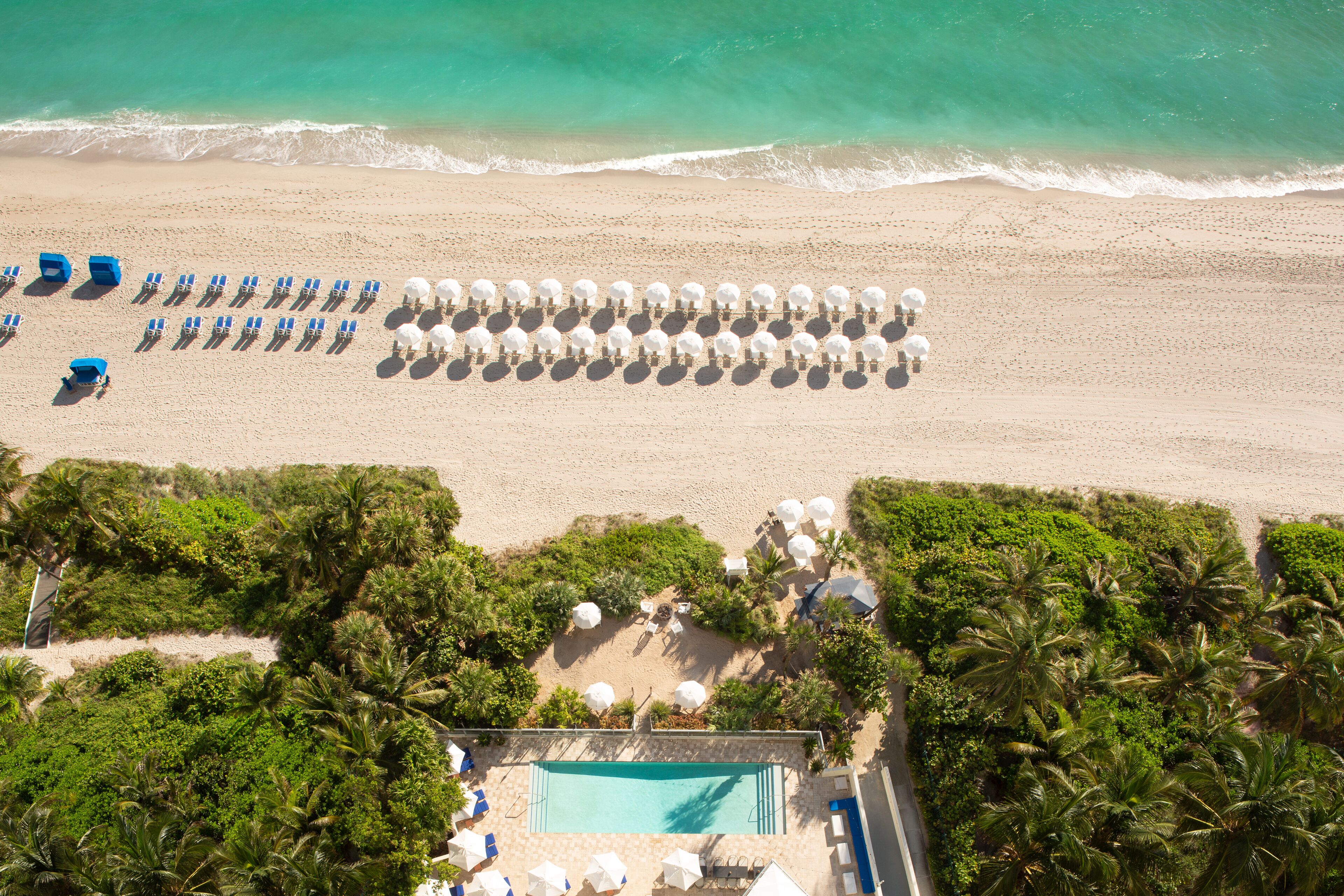Sole on the Ocean in Sunny Isles Beach, United States